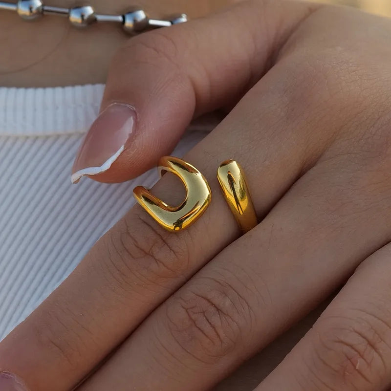 Infinite Ring